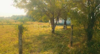 Property for sale in Miyagam Karjan, Vadodara