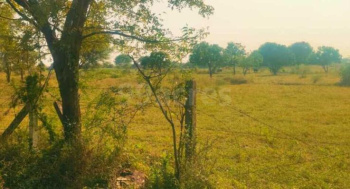 Property for sale in Miyagam Karjan, Vadodara