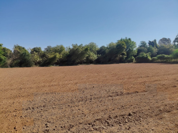 Industrial Land / Plot for Sale in Karjan, Vadodara (36 Bigha)
