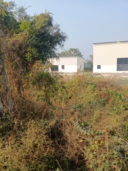 Factory / Industrial Building for Sale in Nana Fofalia, Vadodara (22000 Sq.ft.)
