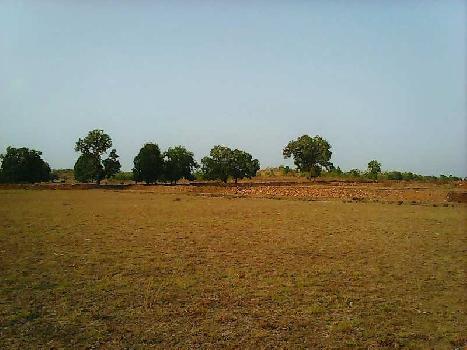 Agricultural Land for Sale in Bodali
