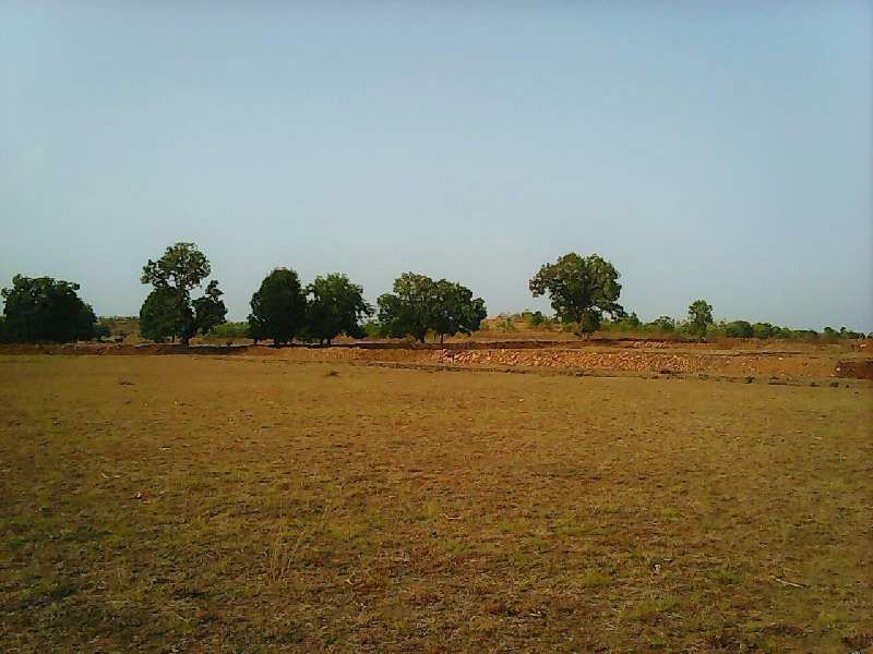 Agricultural Land For Sale In Kayovarahn To Chatral Road Touch, Vadodara