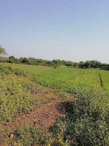 Agricultural/Farm Land for Sale in Vadodara (22 Bigha)