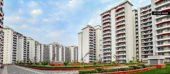 3 BHK Flats & Apartments for Sale in Sector 91, Gurgaon (2800 Sq.ft.)