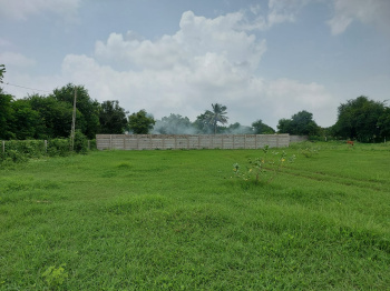 NA Farmland near Mahi river,  VASAD belt