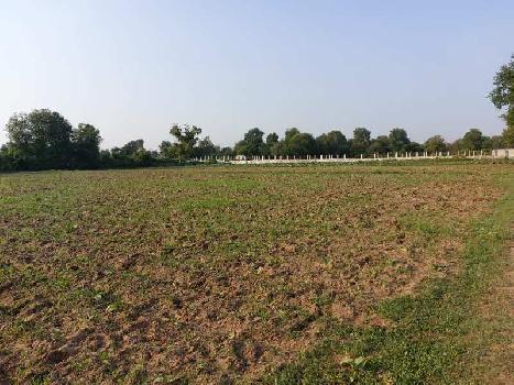 Agri Farmland For Farm Near Mahi River