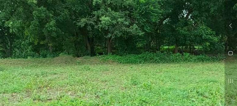 Property for sale in Sindhrot, Vadodara