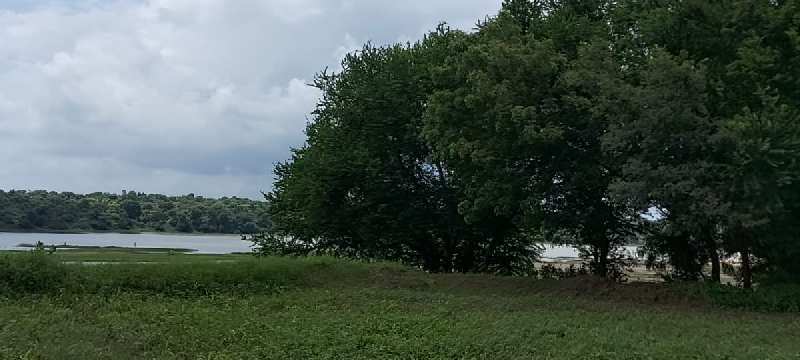 Sindhrot Mahi Riverfront agri farmland