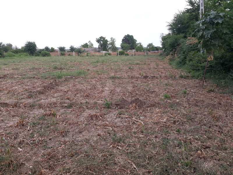 Vasad Agriculture farmland plots near Mahi river