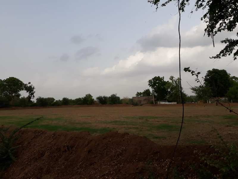 Vasad Agriculture farmland plots near Mahi river