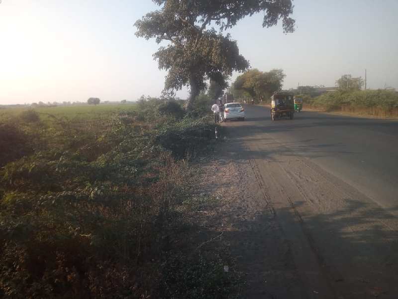 3 ACRE AGRICULTURE LAND FOR SALE IN BHARUCH.