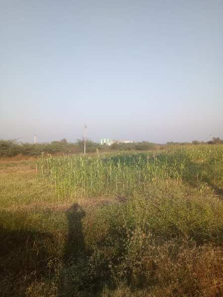 1.5 ACRES AGRICULTURE LAND FOR SALE IN BHARUCH.