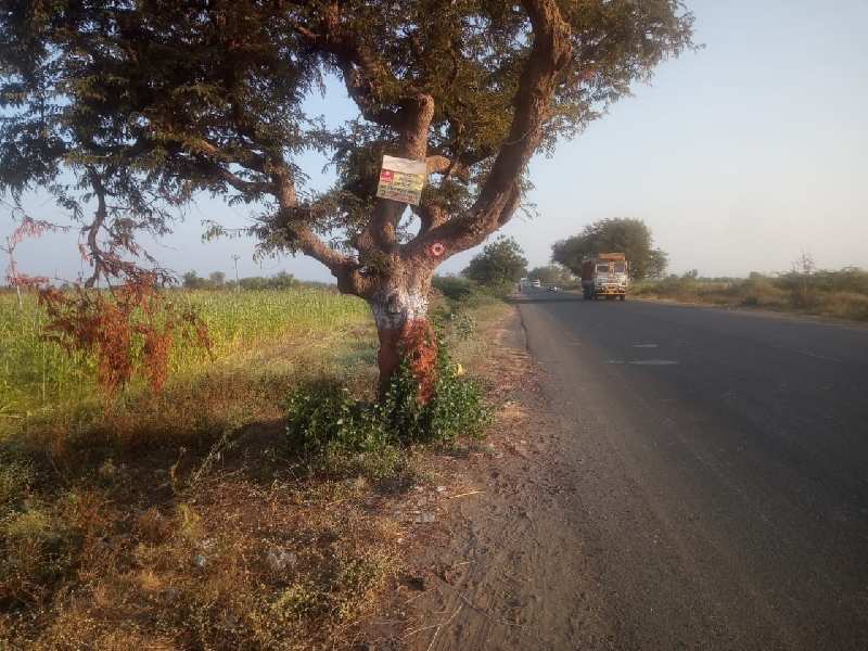 1.5 ACRES AGRICULTURE LAND FOR SALE IN BHARUCH.