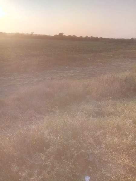 3 ACRES AGRICULTURE LAND FOR SALE IN BHARUCH.