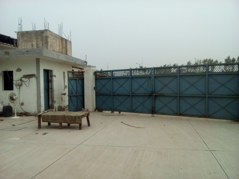 35000 Sq.ft. Factory / Industrial Building for Rent in Manesar, Gurgaon