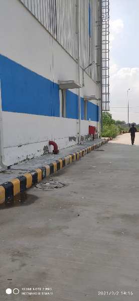 140000 Sq.ft. Factory / Industrial Building for Rent in Imt Manesar, Gurgaon