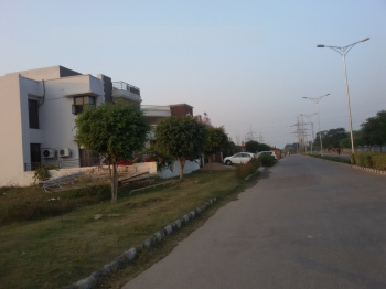 Property for sale in Sector 117 Mohali