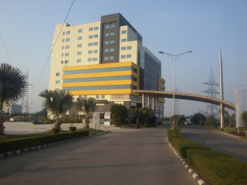 Residential Plot For Sale In TDI City, Mohali (244 Sq. Yards)