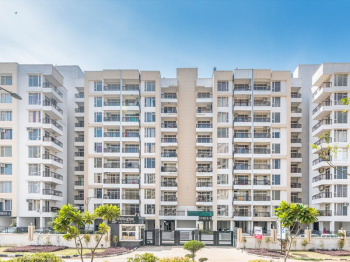 3 BHK Flats & Apartments for Sale in TDI City, Mohali (1649 Sq.ft.)