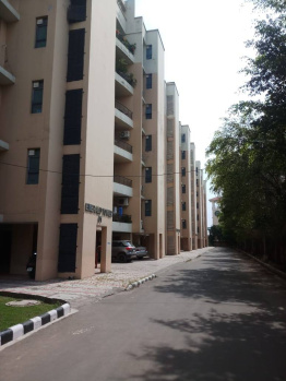 Flats & Apartments for Sale in Sector 116, Mohali (1381 Sq.ft.)