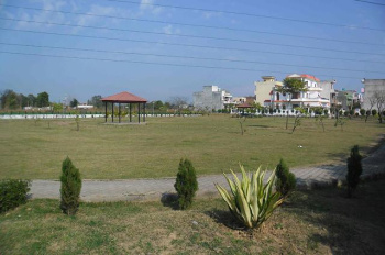 Property for sale in Sector 118 Mohali