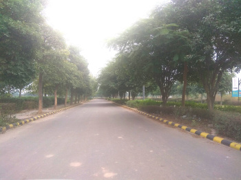 Property for sale in Sector 116 Mohali