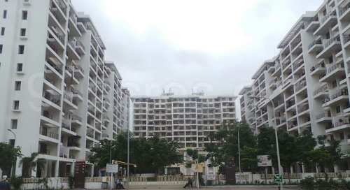 1bhk available in ivy estate in umang homes