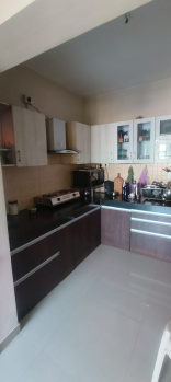 2 BHK Flats & Apartments for Sale in Wagholi, Pune (1050 Sq.ft.)