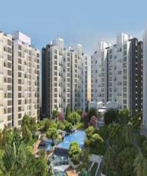 Flats & Apartments for Sale in Wagholi, Pune (1660 Sq.ft.)