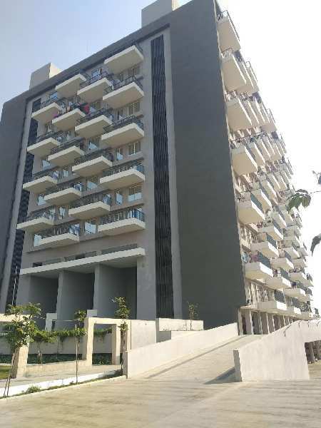 2 BHK Flats & Apartments for Rent in Wagholi, Pune (875 Sq.ft.)