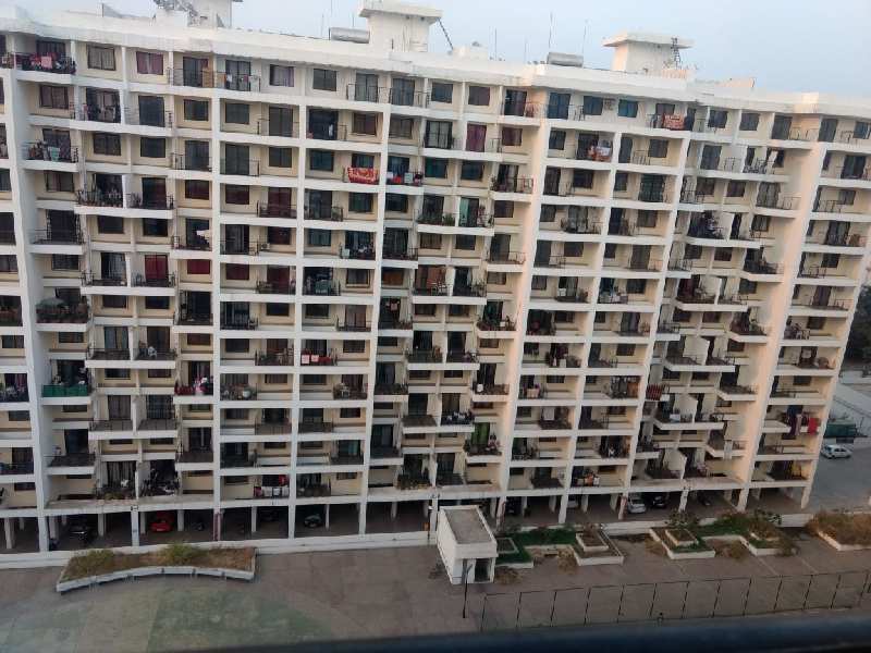 ivy appartement,wagholi