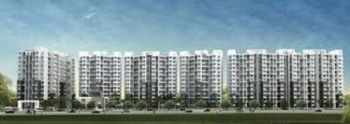 2 BHK Flats & Apartments for Sale in Wagholi, Pune (975 Sq.ft.)