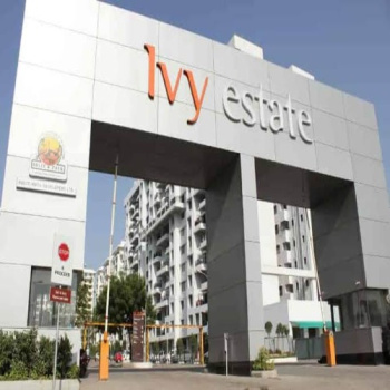 3 BHK Flats & Apartments for Sale in Wagholi, Pune (1645 Sq.ft.)