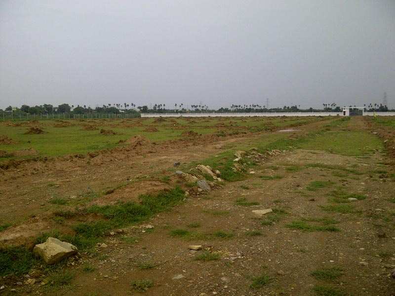 Residential Plot For Sale In Bholad, Dholka