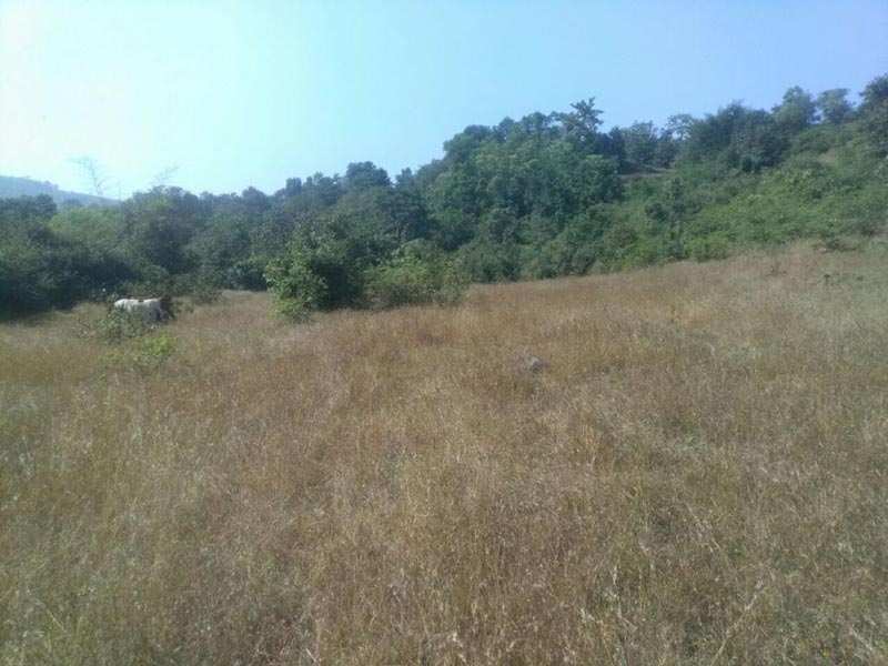 Residential Plot for Sale in Dholka, Ahmedabad