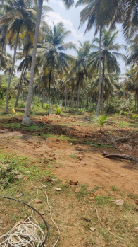 1800 Sq.ft. Residential Plot for Sale in Thaiyur, Chennai