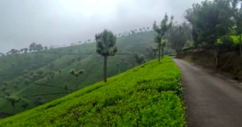 535 Sq.ft. Agricultural/Farm Land for Sale in Coonoor, Ooty