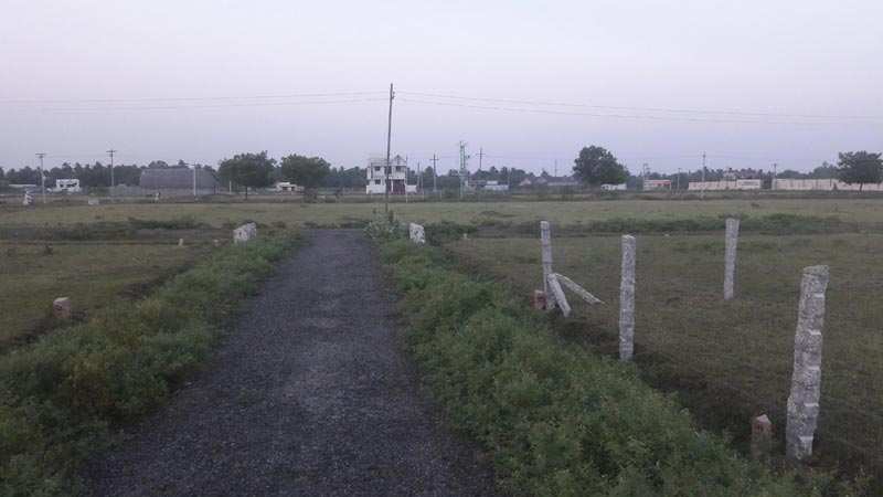 Agriculture Land For Sale In TENKASI