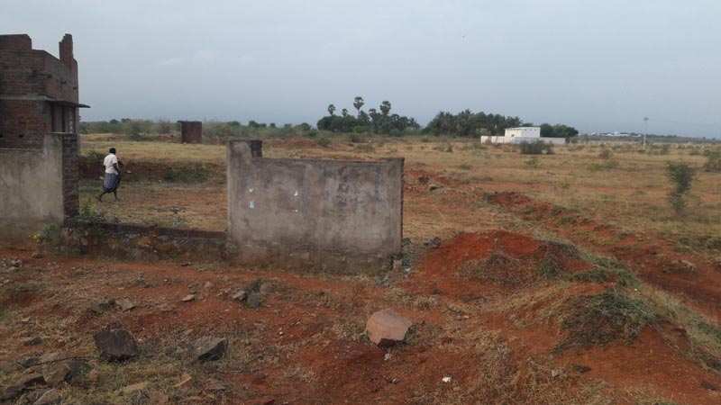 Agriculture Land For Sale In TIRUNELVELI