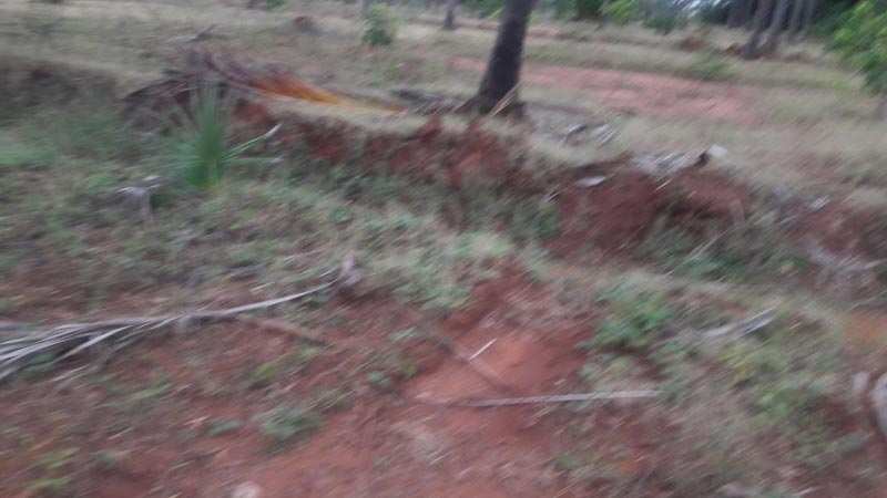 Agriculture Land For Sale In Sattur