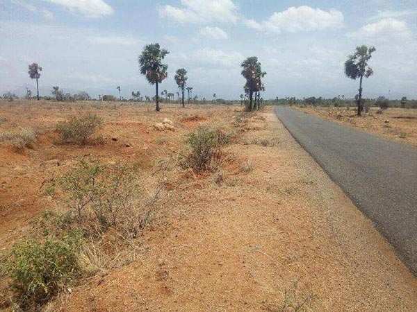 Agricultural/Farm Land for Sale in Kayatharu, Thoothukudi (5 Ares)