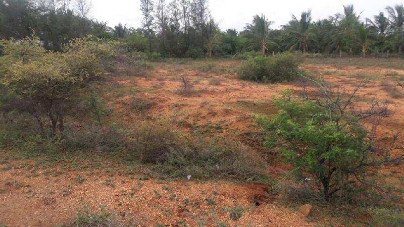 Agricultural/Farm Land for Sale in Melacheval, Tirunelveli (2 Ares)