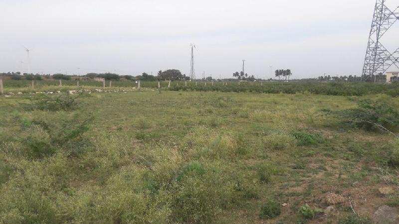 Agricultural/Farm Land for Sale in Tenkasi, Tirunelveli (5 Ares)