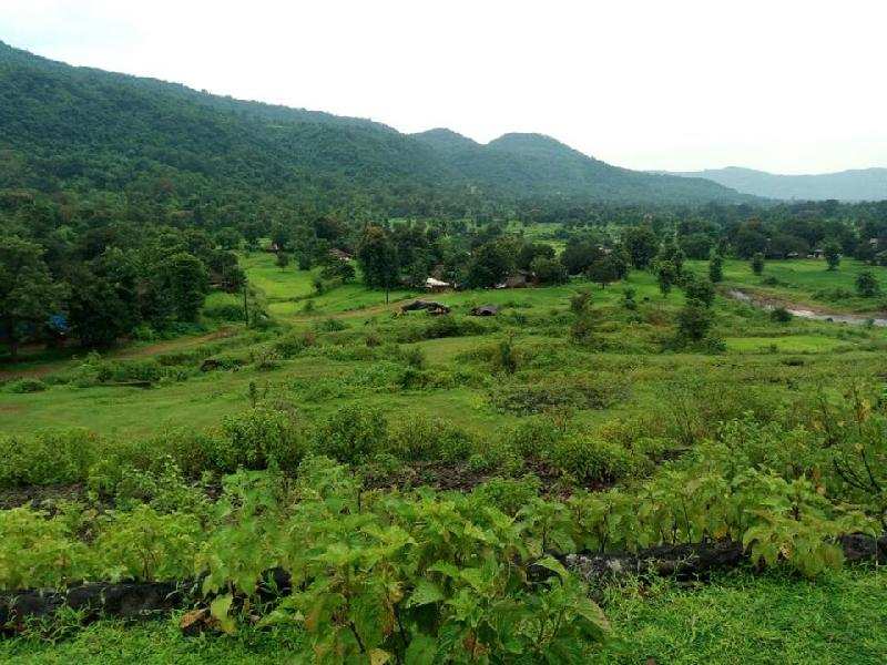 Agricultural/Farm Land for Sale in Sankarankoil, Tirunelveli (250 Ares)