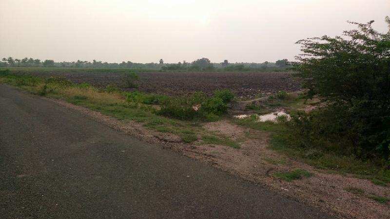 Agricultural/Farm Land for Sale in Srivilliputhur, Virudhunagar (100 Acre)