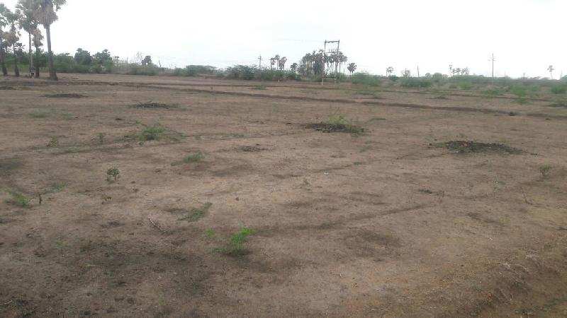 Agricultural/Farm Land for Sale in Thoothukudi (3000 Acre)