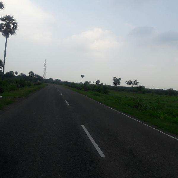 Agricultural/Farm Land for Sale in Thoothukudi (958 Acre)