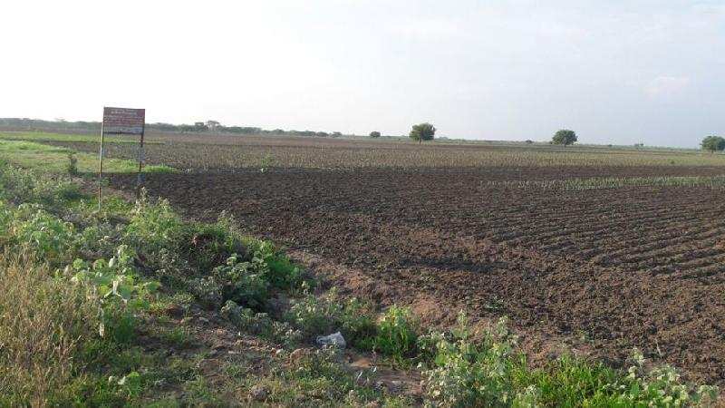 Agricultural/Farm Land for Sale in Sattur, Virudhunagar (3.5 Acre)