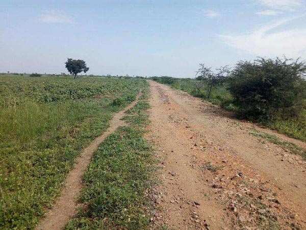 Agricultural/Farm Land for Sale in Thoothukudi (193 Acre)