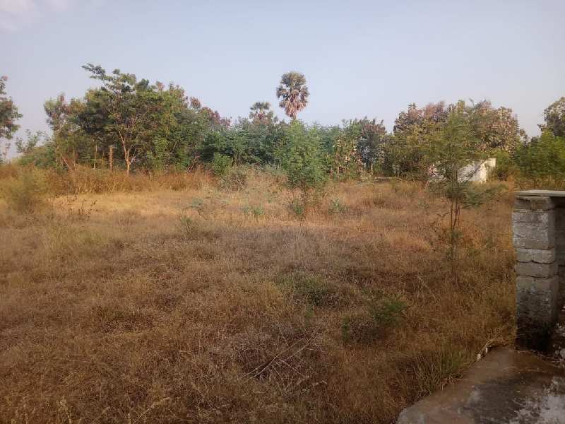 Agriculture Land For Sale In Tenkasi Road, Rajapalayam